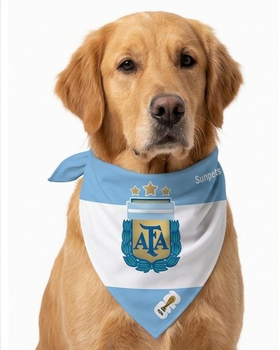 Bandana Argentina