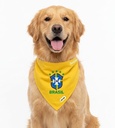 Bandana Brasil