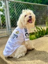 Franela Real Madrid