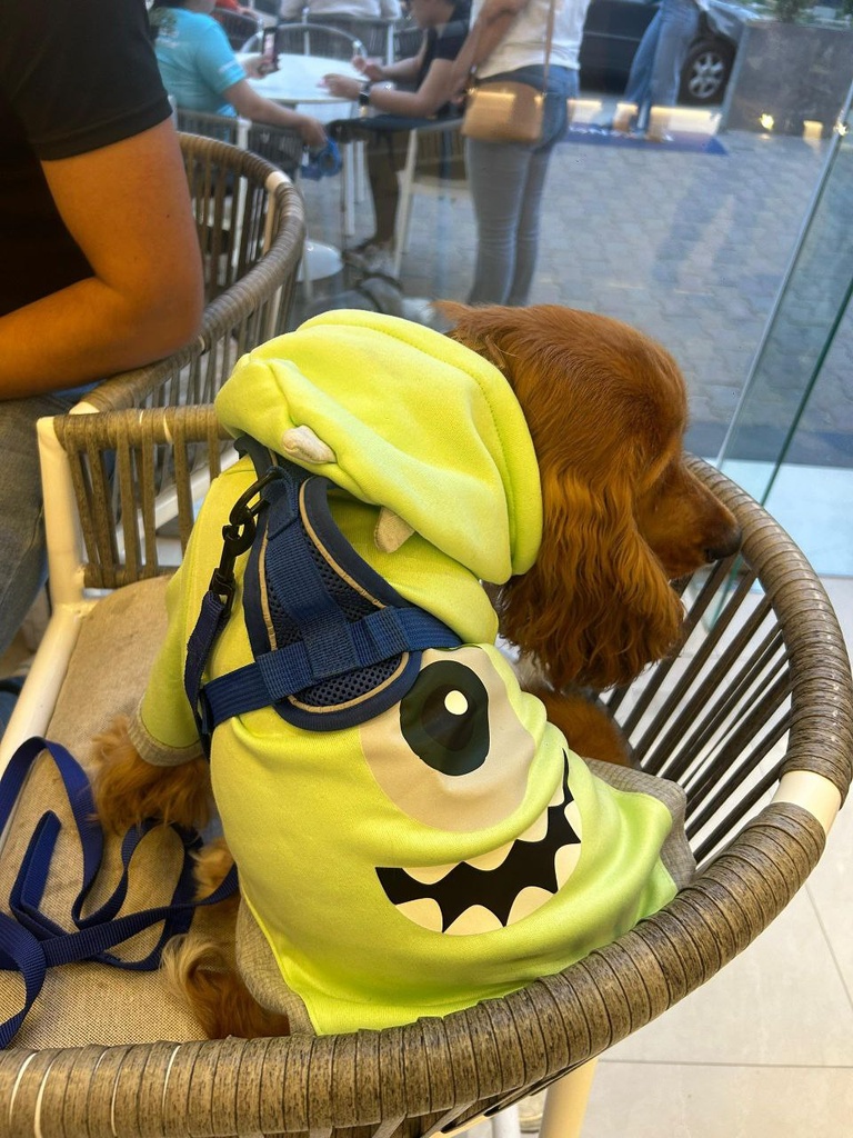 Sueter Mike Wazowski