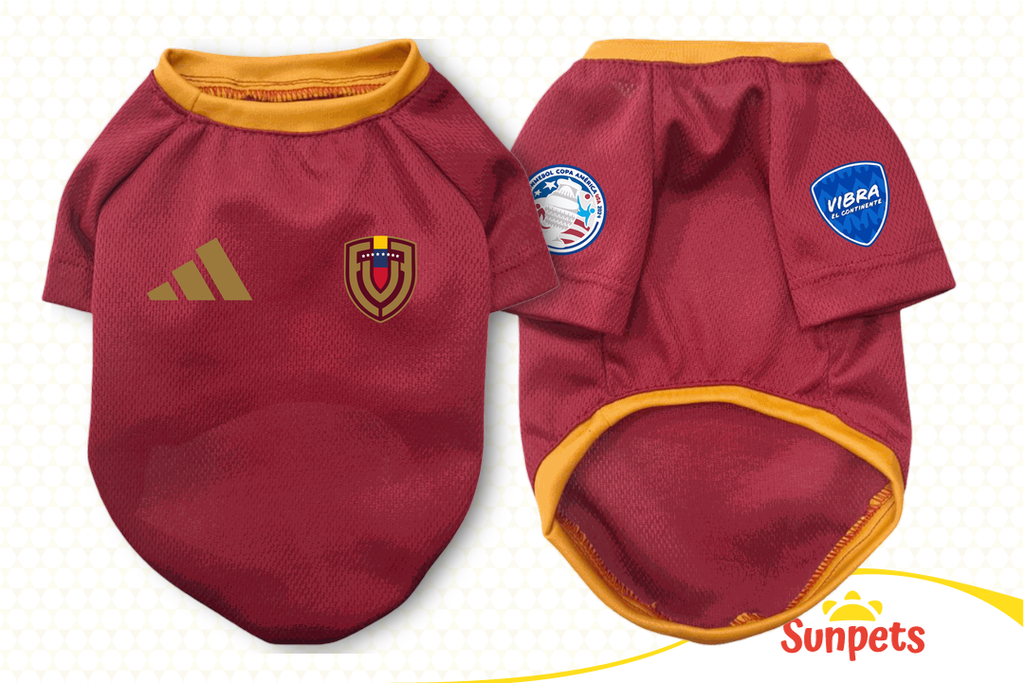 Franela La Vinotinto